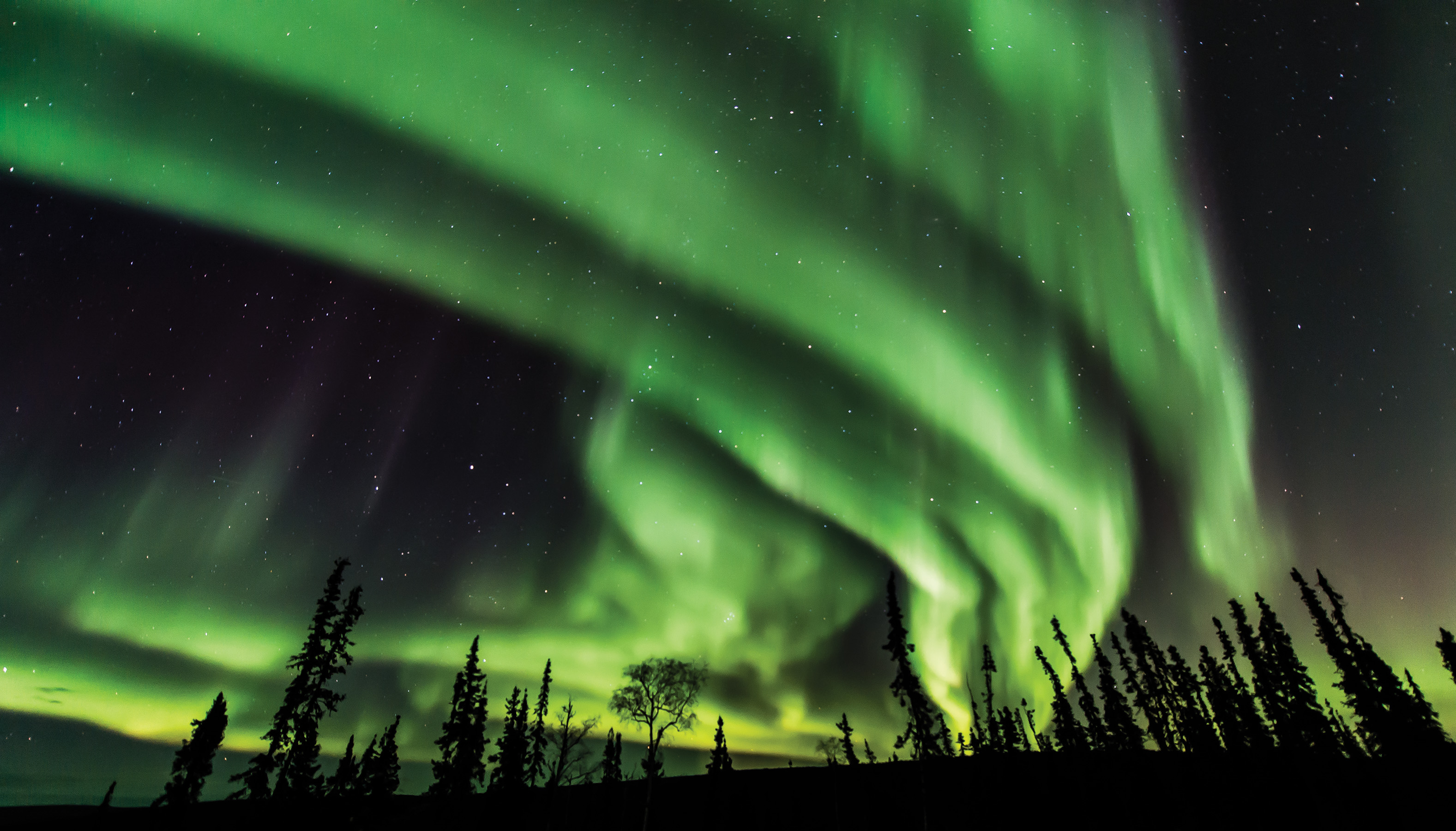 Northern Lights Fairbanks, Alaska